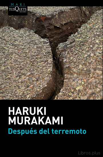 Descargar ebook DESPUES DEL TERREMOTO