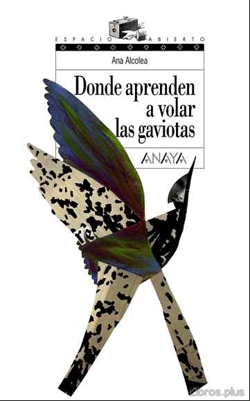 Descargar gratis ebook DONDE APRENDEN A VOLAR LAS GAVIOTAS en epub