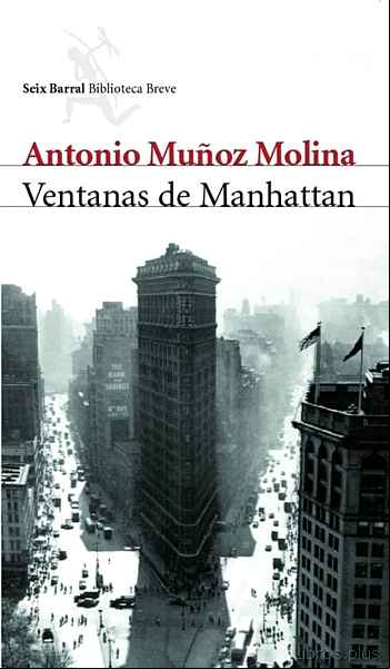 Descargar ebook VENTANAS DE MANHATTAN